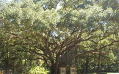 Washington Oaks Gardens State Park
