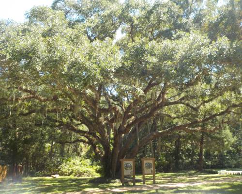 Washington Oaks Gardens State Park