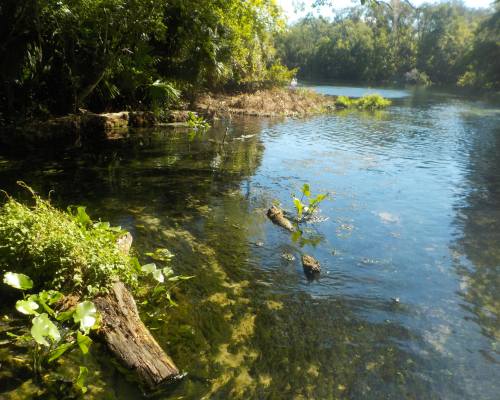 Wekiwa Springs State Park