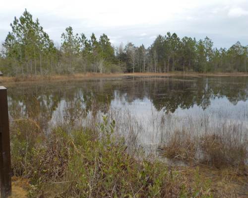 Yellow River Marsh Preserve State Park