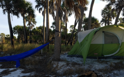Primitive Camping on Anclote Key