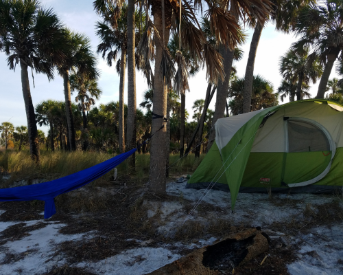 Primitive Camping on Anclote Key