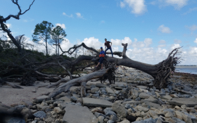 Showing Boogie the Boneyard Beach at Big Talbot State Park
