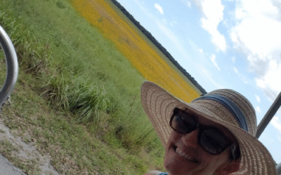 Conquering the Canopy Walkway at Myakka River