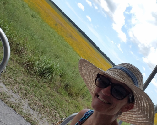 Conquering the Canopy Walkway at Myakka River