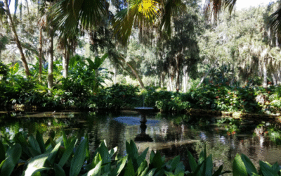 Showing Andrew Around Washington Oaks