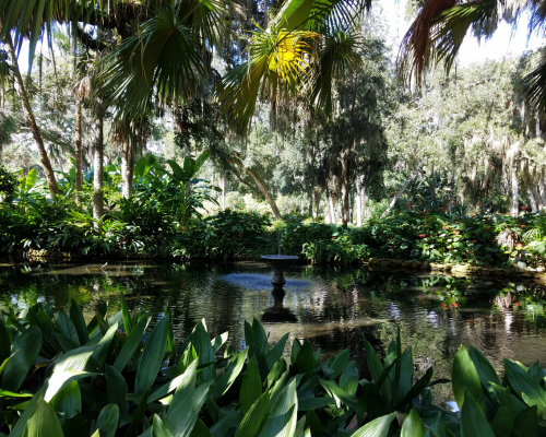 Showing Andrew Around Washington Oaks