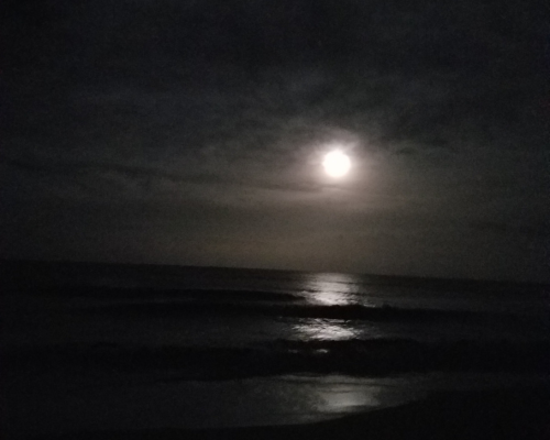 Gamble Rogers & the Full Moon Experience